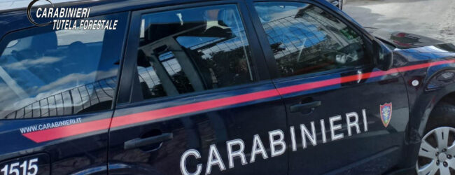 Solofra (AV): inquinamento fiume Sarno, i Carabinieri denunciano un imprenditore