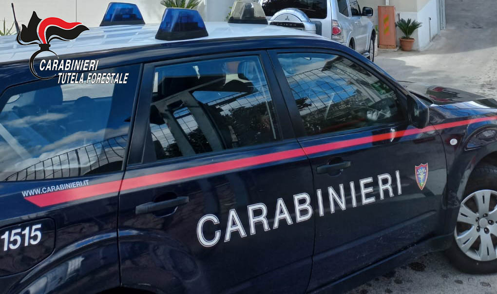 Solofra (AV): inquinamento fiume Sarno, i Carabinieri denunciano un imprenditore