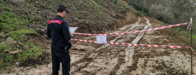 Ariano Irpino, strada realizzata in uliveti: tre persone denunciate dai Carabinieri