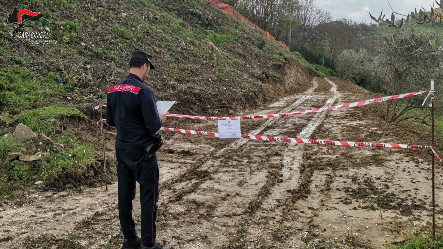 Ariano Irpino, strada realizzata in uliveti: tre persone denunciate dai Carabinieri