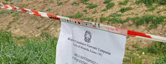 Melito Irpino: i Carabinieri sequestrano un terreno di 1000 metri quadrati, denunciato il proprietario