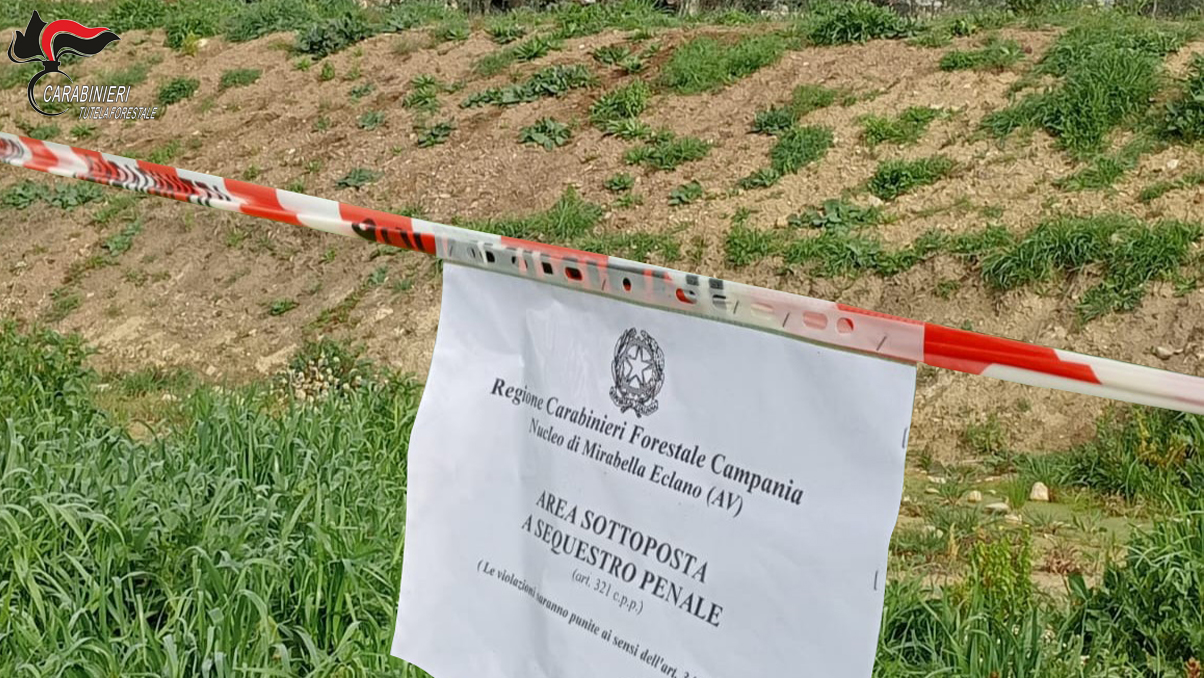 Melito Irpino: i Carabinieri sequestrano un terreno di 1000 metri quadrati, denunciato il proprietario