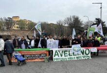 Agricoltori irpini a Roma con il COAPI: Uniagri e Comitato Agricoltori Avellinesi in mobilitazione per difendere agricoltura e aree interne