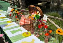 Successo per il “Laboratorio di Pasqua” a Telese Terme: la Pro Loco Telesia centra l’obiettivo dell’aggregazione giovanile