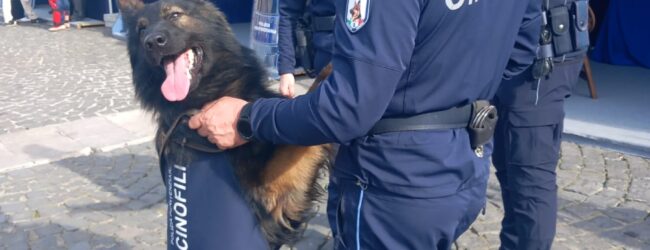 Tre cani poliziotto in pensione cercano casa