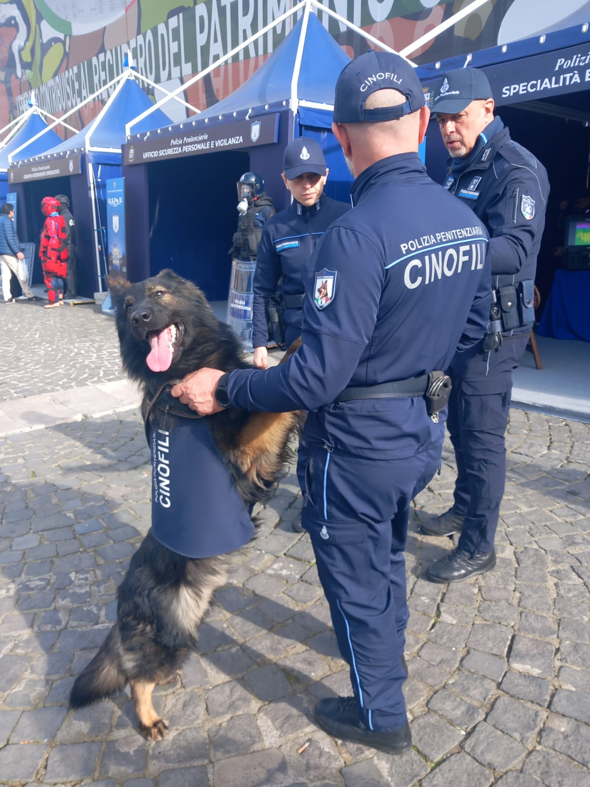 Tre cani poliziotto in pensione cercano casa