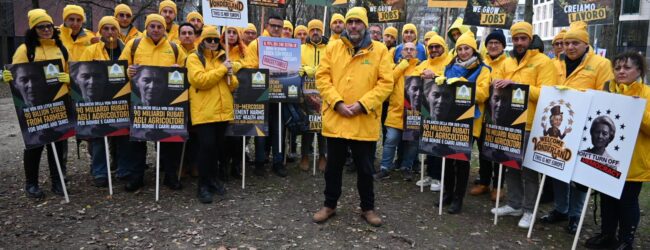 Migliaia di agricoltori a Napoli per dire basta agli inganni del codice doganale e chiedere trasparenza in etichetta
