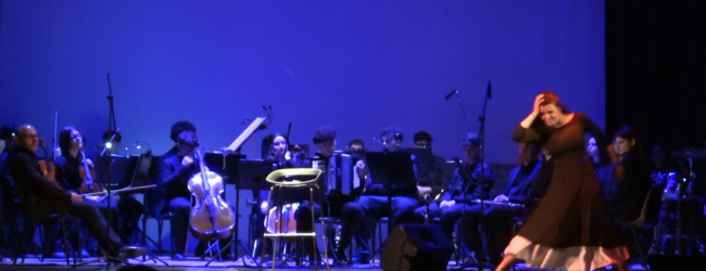 “Voci di Donne”: viaggio nella guerra attraverso parole di pace con Laura Silvia Battaglia