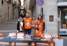 Cani e gatti, cure non di lusso: LAV in piazza per abbassare l’Iva