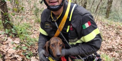 Benevento, cagnolino salvato dai Vigili del Fuoco dopo una caduta di 15 metri in un dirupo
