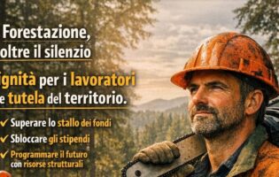 Forestazione, il sindacato: “Il silenzio non è una risposta, siamo in prima linea per i lavoratori idraulico-forestali”