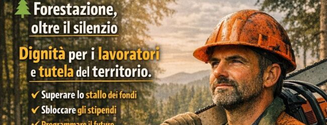 Forestazione, il sindacato: “Il silenzio non è una risposta, siamo in prima linea per i lavoratori idraulico-forestali”