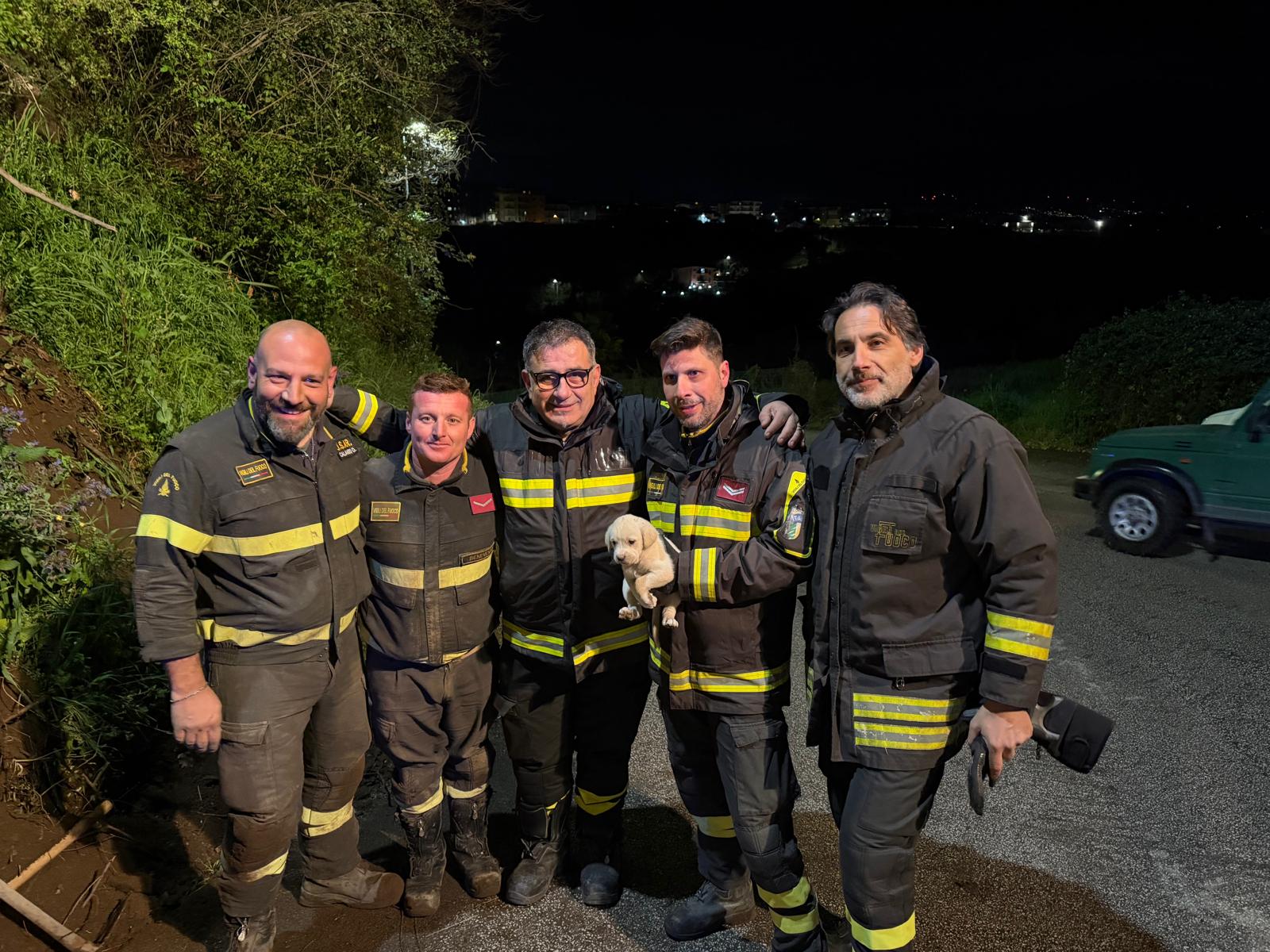Cuccioli di cane salvati a San Nazzaro: i vigili del fuoco li recuperano dopo 2 ore di lavoro/FOTO