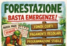 Forestazione: servono fondi strutturali e stipendi certi. Basta emergenze