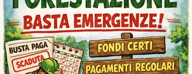 Forestazione: servono fondi strutturali e stipendi certi. Basta emergenze