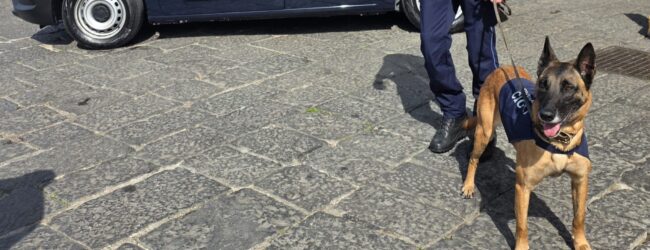 Benevento, Odontoiatra-pusher arrestato: dentiere piene di droga, smantellato un canale di spaccio in carcere