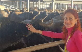 8 Marzo, l’agricoltura in Campania è donna