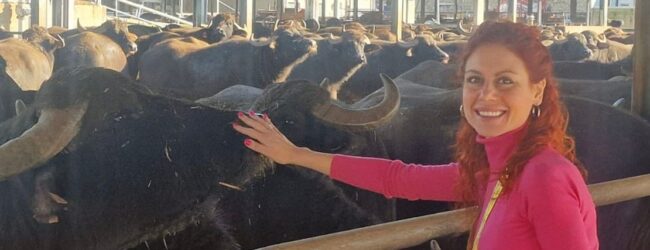8 Marzo, l’agricoltura in Campania è donna