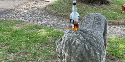 Rocca dei Rettori vandalizzata: rifiuti e degrado tra i reperti archeologici