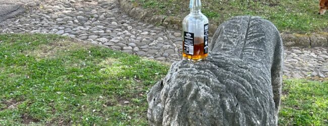 Rocca dei Rettori vandalizzata: rifiuti e degrado tra i reperti archeologici