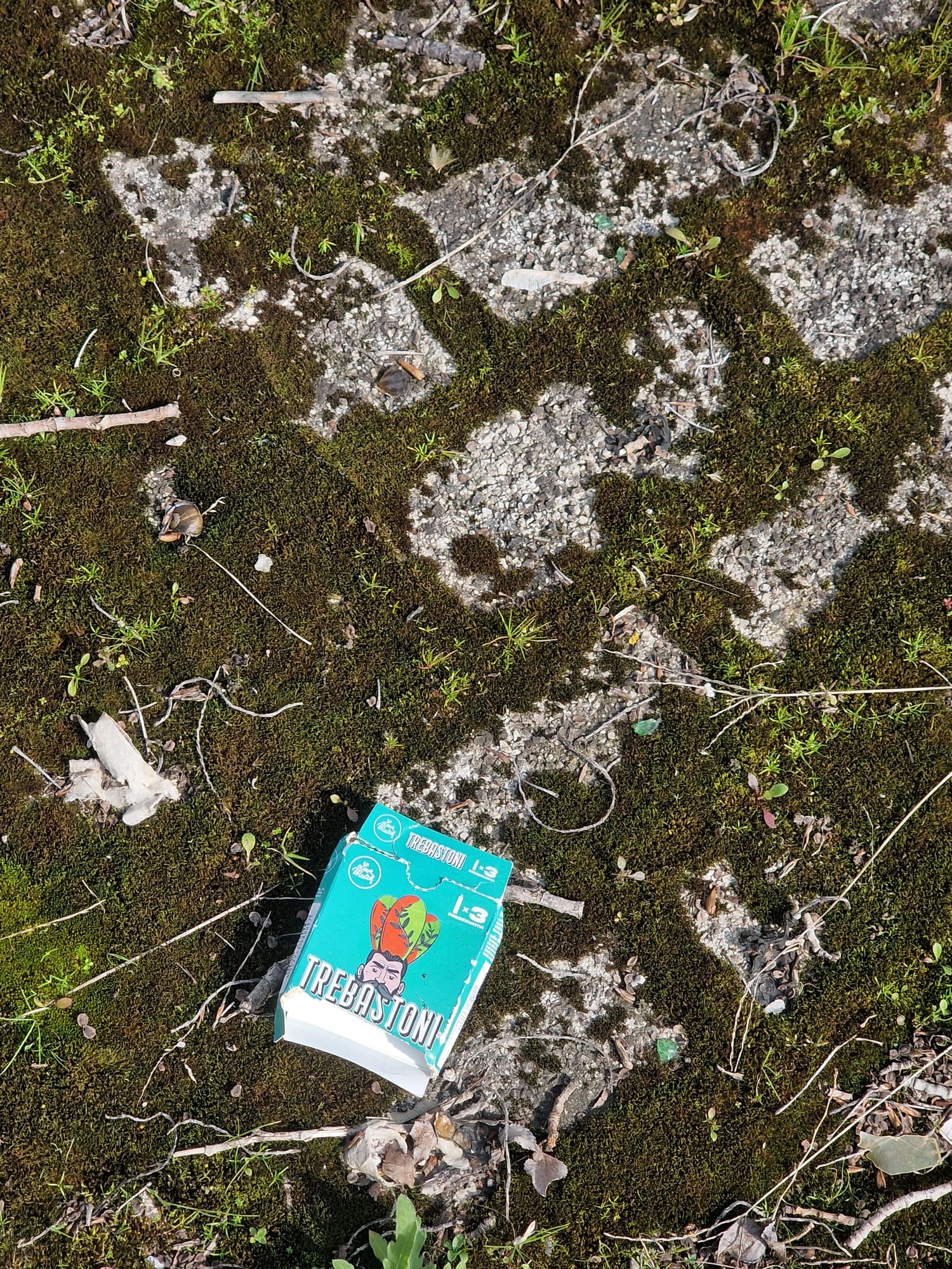 WhatsApp Image 2026-03-03 at 12.03.41(2)