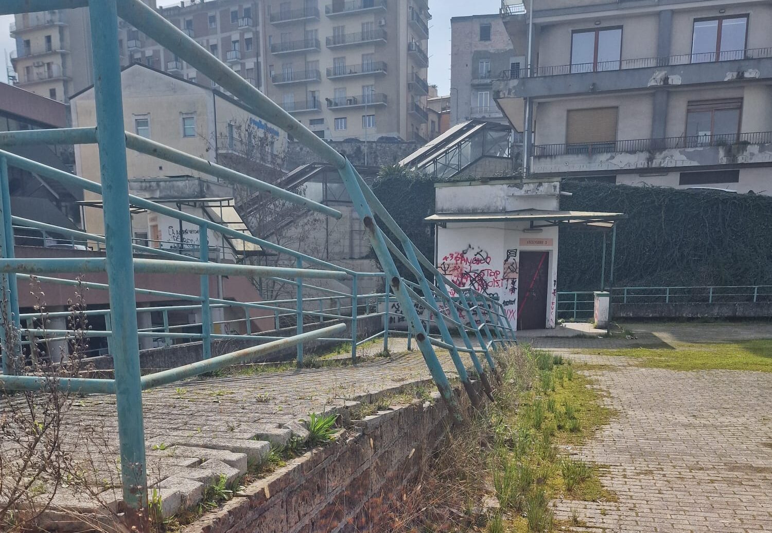 WhatsApp Image 2026-03-03 at 12.03.42