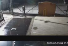 Furto alla Cantina Sociale di Solopaca: portato via anche il ‘Bublì Van’