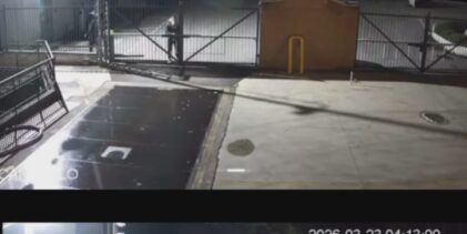 Furto alla Cantina Sociale di Solopaca: portato via anche il ‘Bublì Van’