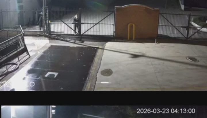 Furto alla Cantina Sociale di Solopaca: portato via anche il ‘Bublì Van’