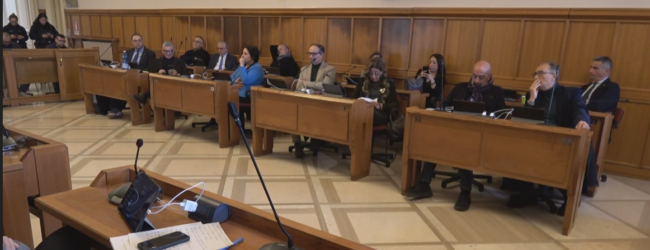 Consiglio comunale tra scranni tagliati (male) e nuovo regolamento del verde