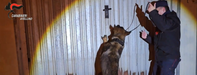 Irpinia, armi rubate e modificate nascoste: 5 indagati, quattro in carcere