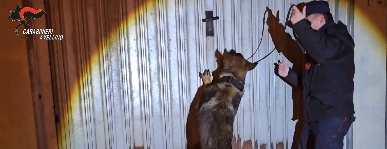 Irpinia, armi rubate e modificate nascoste: 5 indagati, quattro in carcere