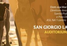 Randagismo, incontro formativo a San Giorgio la Molara