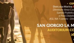 Randagismo, incontro formativo a San Giorgio la Molara