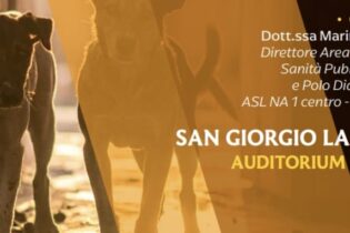 Randagismo, incontro formativo a San Giorgio la Molara