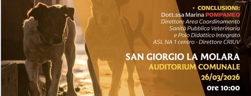 Randagismo, incontro formativo a San Giorgio la Molara