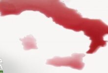 Operazione “Vinum Mentitum”: ICQRF e Guardia di Finanza contro le frodi nel settore vitivinicolo