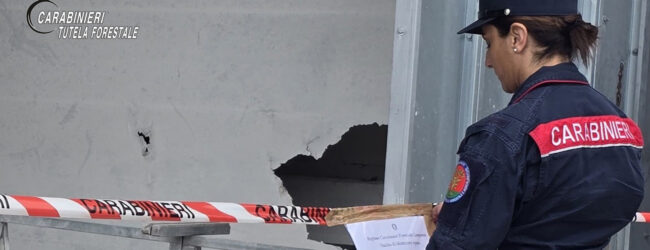 Sirignano Irpino (AV), sequestrata azienda: titolare denunciato per reati ambientali