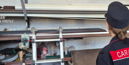 Avella, i Carabinieri denunciano un artigiano: sequestrata l’azienda