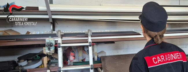 Avella, i Carabinieri denunciano un artigiano: sequestrata l’azienda
