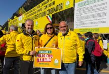 Etichette e controlli, Coldiretti Campania: “Serve chiarezza per difendere il Made in Italy”