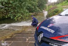 Montoro, inquinamento fiume Sarno, i Carabinieri denunciano un imprenditore per scarico illecito di acque reflue industriali ed abusivismo edilizio