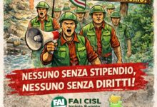 Lavoratori idraulico-forestali, la FAI-CISL Irpinia Sannio denuncia: “situazione critica, stipendi ancora bloccati”