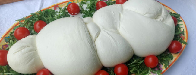 Coldiretti Campania, mozzarella di bufala: la legge sui reati agroalimentari dalla parte della qualita’