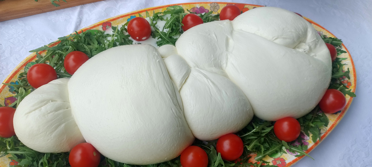 Coldiretti Campania, mozzarella di bufala: la legge sui reati agroalimentari dalla parte della qualita’