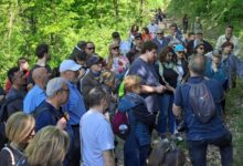 “Primavera delle Oasi” al “Lago di Campolattaro”: la natura si fa esperienza tra erbe spontanee e biodiversità