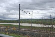 Maltempo, Marzano (Confagricoltura Campania), danni alle colture dopo le piogge torrenziali