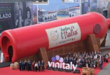 Vinitaly 2026, Irpinia e Sannio trainano il vino campano: crescita produttiva e nuove sfide sui mercati