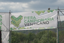 Venticano: rilanciare l’olivicoltura di collina tra innovazione, tutela del territorio e nuove opportunità di sviluppo
