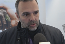 Anniversario dell’uccisione di Raffaele Delcogliano e Aldo Iermano, Pellegrino Mastella: “Memoria viva, esempio per le nuove generazioni”